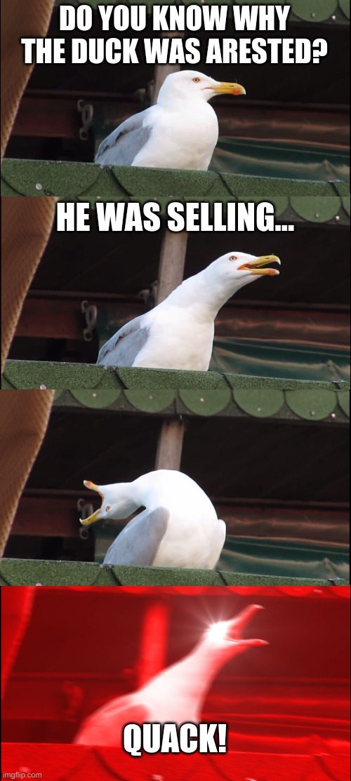 Inhaling Seagull | DO YOU KNOW WHY THE DUCK WAS ARESTED? HE WAS SELLING... QUACK! | image tagged in memes,inhaling seagull | made w/ Imgflip meme maker