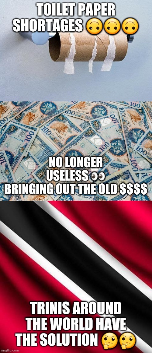 TOILET PAPER SHORTAGES 🙃🙃🙃; NO LONGER USELESS 👀
BRINGING OUT THE OLD $$$$; TRINIS AROUND THE WORLD HAVE THE SOLUTION 🤔🤔 | image tagged in no more toilet paper,real trinidad  tobago family food falklore | made w/ Imgflip meme maker