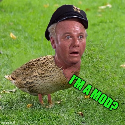 Skipper Duck | I’M A MOD? | image tagged in skipper duck | made w/ Imgflip meme maker