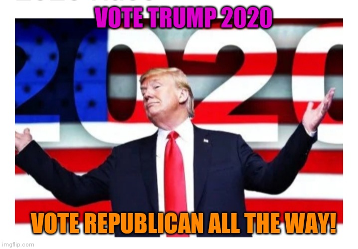 VOTE TRUMP 2020 VOTE REPUBLICAN ALL THE WAY! | made w/ Imgflip meme maker