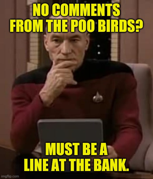 picard thinking | NO COMMENTS FROM THE POO BIRDS? MUST BE A LINE AT THE BANK. | image tagged in picard thinking | made w/ Imgflip meme maker