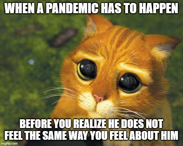 puss in boots | WHEN A PANDEMIC HAS TO HAPPEN; BEFORE YOU REALIZE HE DOES NOT FEEL THE SAME WAY YOU FEEL ABOUT HIM | image tagged in puss in boots | made w/ Imgflip meme maker