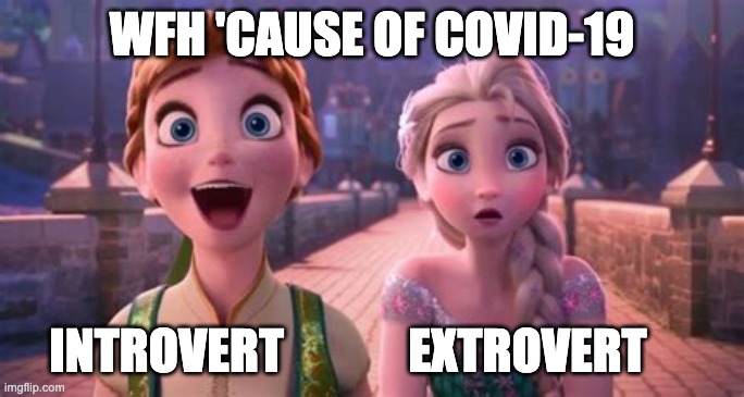 Happy Anna and Worried Elsa | WFH 'CAUSE OF COVID-19; INTROVERT             EXTROVERT | image tagged in happy anna and worried elsa | made w/ Imgflip meme maker
