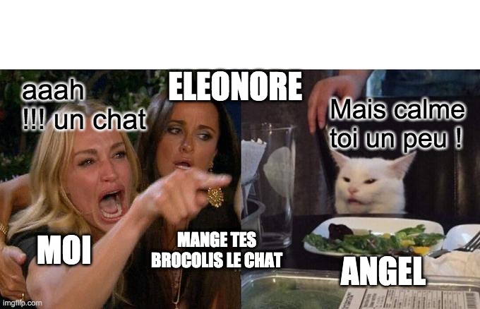 Woman Yelling At Cat Meme | ELEONORE; aaah !!! un chat; Mais calme toi un peu ! MOI; MANGE TES BROCOLIS LE CHAT; ANGEL | image tagged in memes,woman yelling at cat | made w/ Imgflip meme maker