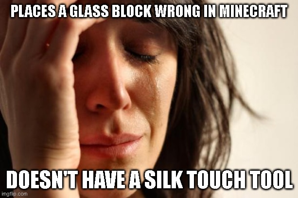 First World Problems | PLACES A GLASS BLOCK WRONG IN MINECRAFT; DOESN'T HAVE A SILK TOUCH TOOL | image tagged in memes,first world problems | made w/ Imgflip meme maker