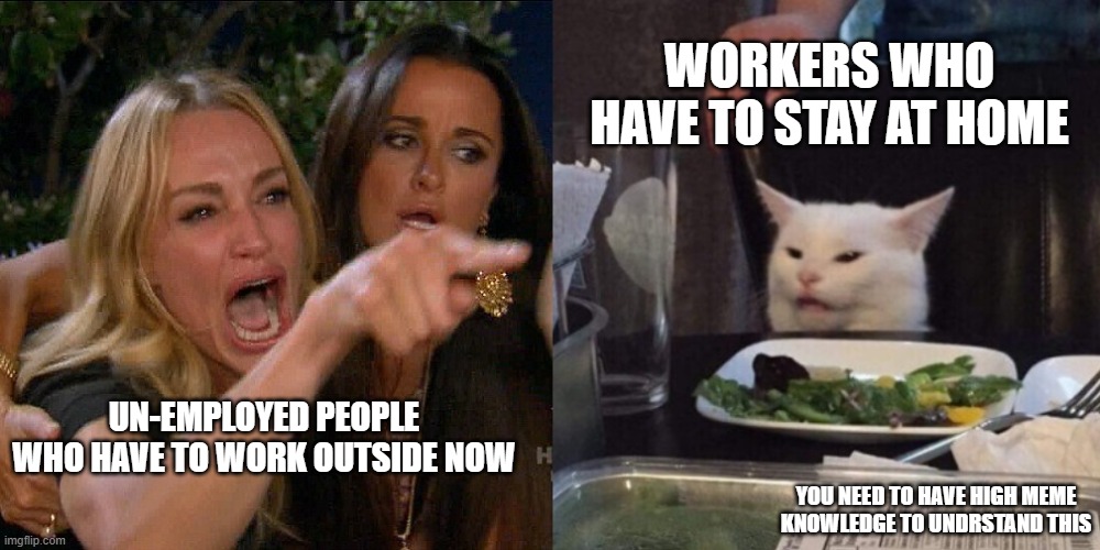 Woman yelling at cat | WORKERS WHO HAVE TO STAY AT HOME; UN-EMPLOYED PEOPLE WHO HAVE TO WORK OUTSIDE NOW; YOU NEED TO HAVE HIGH MEME KNOWLEDGE TO UNDRSTAND THIS | image tagged in woman yelling at cat | made w/ Imgflip meme maker