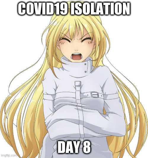 Girl in straitjacket | COVID19 ISOLATION; DAY 8 | image tagged in girl in straitjacket | made w/ Imgflip meme maker