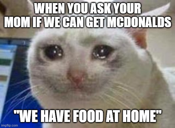 Sad cat | WHEN YOU ASK YOUR MOM IF WE CAN GET MCDONALDS; "WE HAVE FOOD AT HOME" | image tagged in sad cat | made w/ Imgflip meme maker