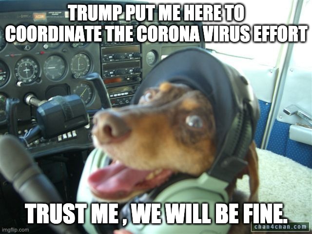 Trump Corona virus | TRUMP PUT ME HERE TO COORDINATE THE CORONA VIRUS EFFORT; TRUST ME , WE WILL BE FINE. | image tagged in pilot dog,trump,coronavirus | made w/ Imgflip meme maker