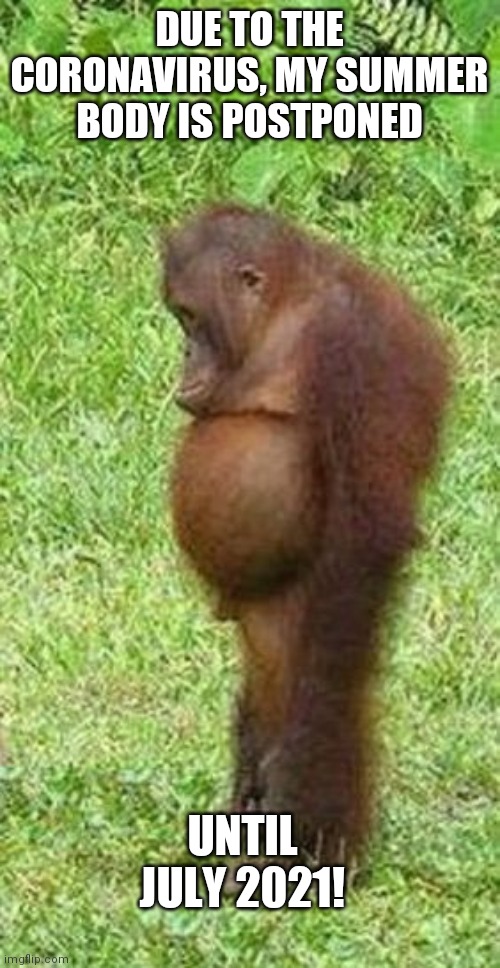 Chubby orangutan | DUE TO THE CORONAVIRUS, MY SUMMER BODY IS POSTPONED; UNTIL JULY 2021! | image tagged in chubby orangutan | made w/ Imgflip meme maker