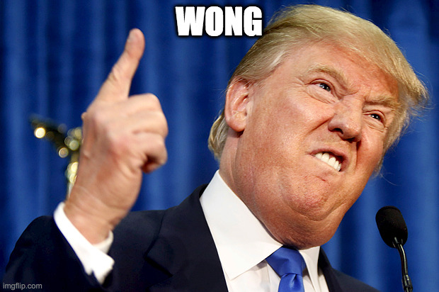 Donald Trump | WONG | image tagged in donald trump | made w/ Imgflip meme maker