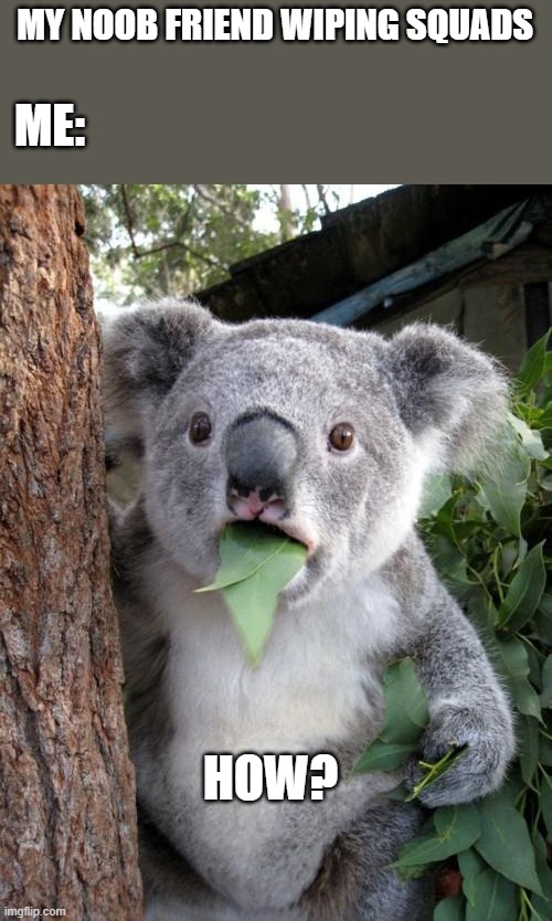 Surprised Koala Meme | MY NOOB FRIEND WIPING SQUADS; ME:; HOW? | image tagged in memes,surprised koala | made w/ Imgflip meme maker