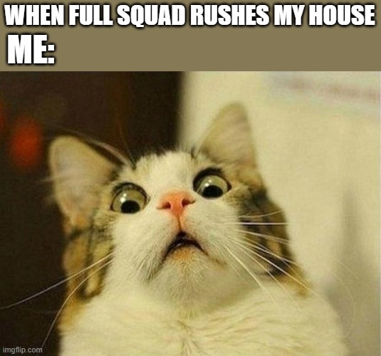 Scared Cat Meme | WHEN FULL SQUAD RUSHES MY HOUSE; ME: | image tagged in memes,scared cat | made w/ Imgflip meme maker