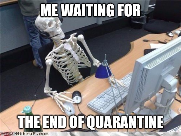 Waiting skeleton | ME WAITING FOR; THE END OF QUARANTINE | image tagged in waiting skeleton | made w/ Imgflip meme maker