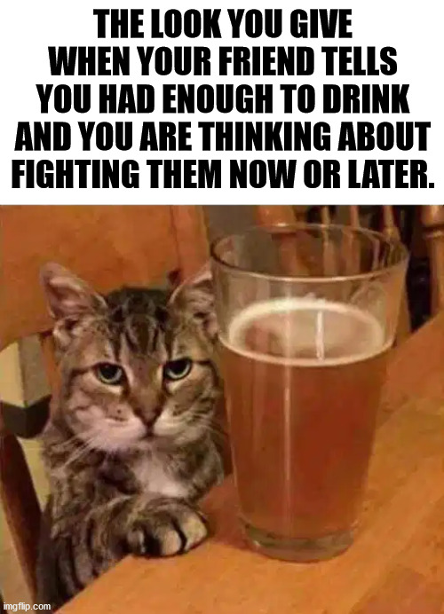 Contemplating violence. |  THE LOOK YOU GIVE WHEN YOUR FRIEND TELLS YOU HAD ENOUGH TO DRINK AND YOU ARE THINKING ABOUT FIGHTING THEM NOW OR LATER. | image tagged in drinking,contemplating,fighting,that look you give | made w/ Imgflip meme maker