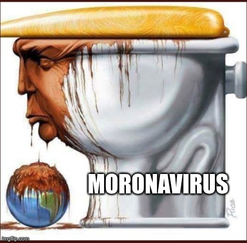 Before Coronavirus | MORONAVIRUS | image tagged in trump,moronavirus,incompetence,moron,fool,idiot | made w/ Imgflip meme maker