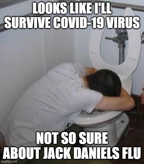 Drunk puking toilet | LOOKS LIKE I'LL SURVIVE COVID-19 VIRUS; NOT SO SURE ABOUT JACK DANIELS FLU | image tagged in drunk puking toilet | made w/ Imgflip meme maker