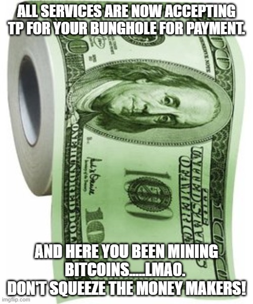 expensive toilet paper | ALL SERVICES ARE NOW ACCEPTING TP FOR YOUR BUNGHOLE FOR PAYMENT. AND HERE YOU BEEN MINING BITCOINS.....LMAO.  DON'T SQUEEZE THE MONEY MAKERS! | image tagged in expensive toilet paper | made w/ Imgflip meme maker