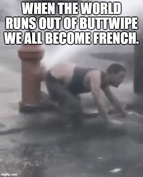 Toilet paper | WHEN THE WORLD RUNS OUT OF BUTTWIPE WE ALL BECOME FRENCH. | image tagged in toilet paper | made w/ Imgflip meme maker