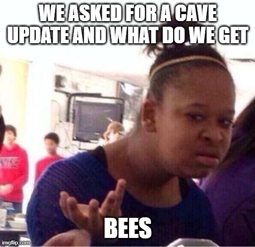 but why | WE ASKED FOR A CAVE UPDATE AND WHAT DO WE GET; BEES | image tagged in but why | made w/ Imgflip meme maker