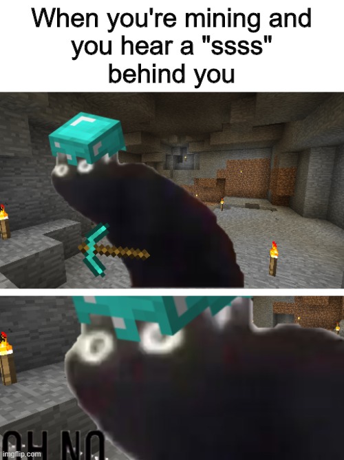 Should've had more armor |  When you're mining and
you hear a "ssss"
behind you | image tagged in oh no but in minecraft | made w/ Imgflip meme maker