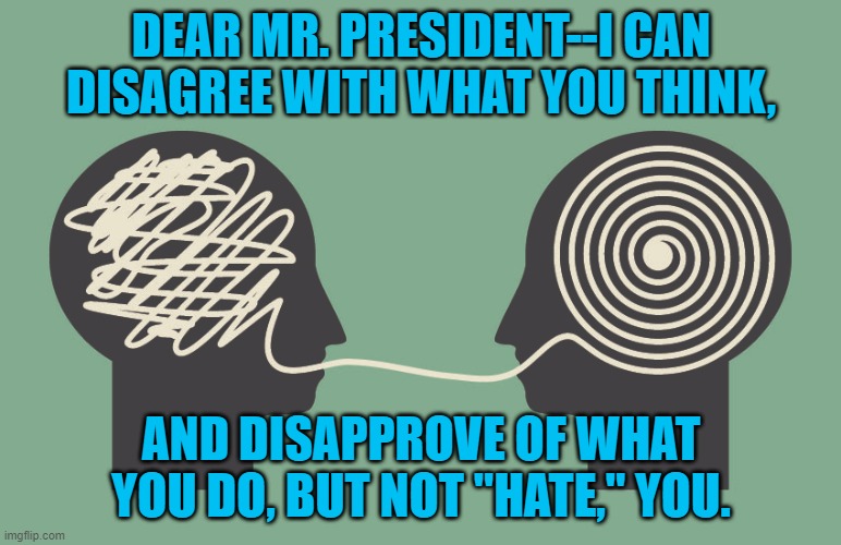 Adulting | DEAR MR. PRESIDENT--I CAN DISAGREE WITH WHAT YOU THINK, AND DISAPPROVE OF WHAT YOU DO, BUT NOT "HATE," YOU. | image tagged in politics | made w/ Imgflip meme maker