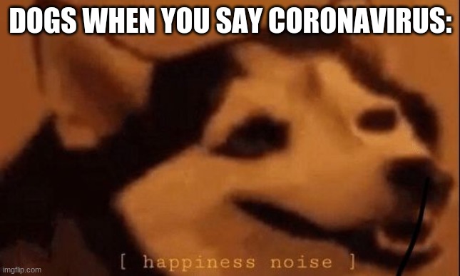 [happiness noise] | DOGS WHEN YOU SAY CORONAVIRUS: | image tagged in happiness noise | made w/ Imgflip meme maker