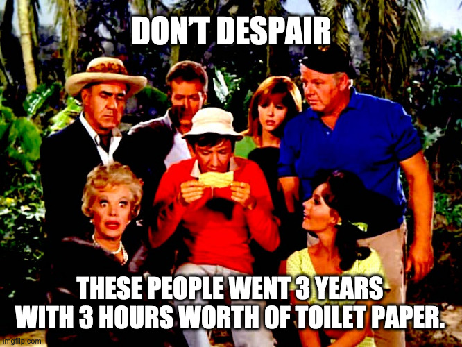 Gotta be old to get this one | DON’T DESPAIR; THESE PEOPLE WENT 3 YEARS WITH 3 HOURS WORTH OF TOILET PAPER. | image tagged in toilet paper,gilligan's island | made w/ Imgflip meme maker