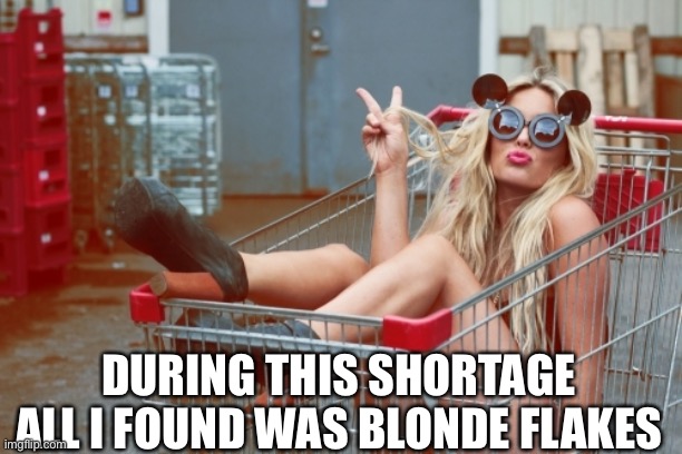Girl-shopping-cart-1 | DURING THIS SHORTAGE ALL I FOUND WAS BLONDE FLAKES | image tagged in girl-shopping-cart-1 | made w/ Imgflip meme maker