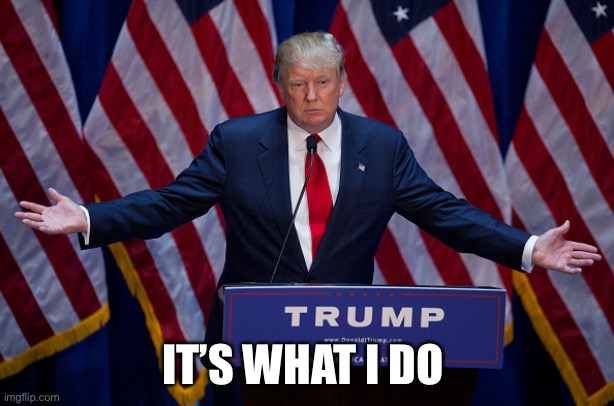 Donald Trump | IT’S WHAT I DO | image tagged in donald trump | made w/ Imgflip meme maker