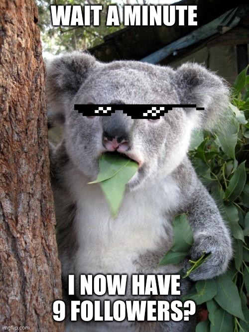 Surprised Koala | WAIT A MINUTE; I NOW HAVE 9 FOLLOWERS? | image tagged in memes,surprised koala | made w/ Imgflip meme maker