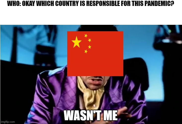 Shaggy It Wasn't Me Tekashi 6 9 Snitch | WHO: OKAY WHICH COUNTRY IS RESPONSIBLE FOR THIS PANDEMIC? WASN'T ME | image tagged in shaggy it wasn't me tekashi 6 9 snitch,memes | made w/ Imgflip meme maker