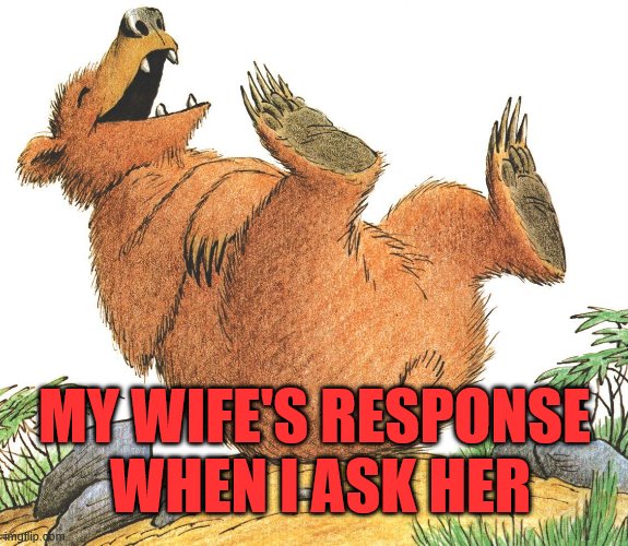 laughing bear,memes | MY WIFE'S RESPONSE 
WHEN I ASK HER | image tagged in laughing bear memes | made w/ Imgflip meme maker