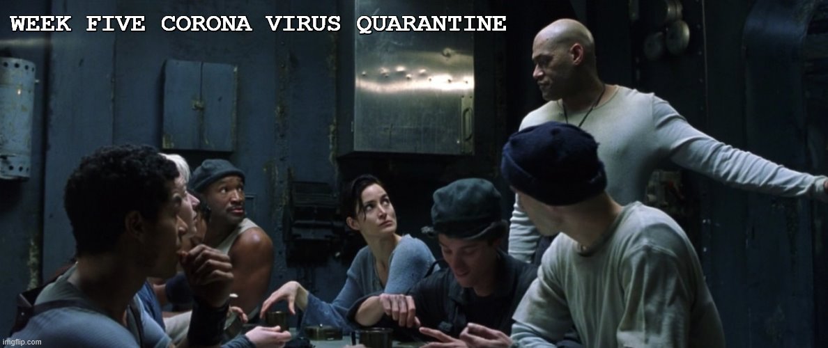 WEEK FIVE CORONA VIRUS QUARANTINE | image tagged in the matrix,memes,quarantine,coronavirus,corona virus,social distancing | made w/ Imgflip meme maker