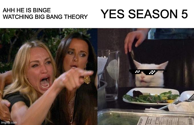 Woman Yelling At Cat | AHH HE IS BINGE WATCHING BIG BANG THEORY; YES SEASON 5 | image tagged in memes,woman yelling at cat | made w/ Imgflip meme maker