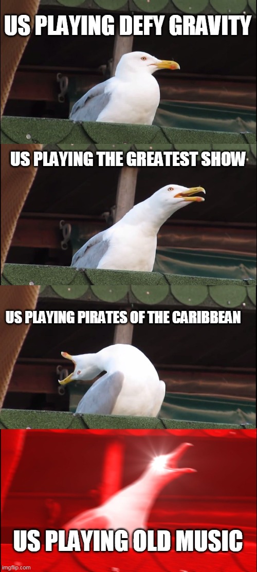 Inhaling Seagull | US PLAYING DEFY GRAVITY; US PLAYING THE GREATEST SHOW; US PLAYING PIRATES OF THE CARIBBEAN; US PLAYING OLD MUSIC | image tagged in memes,inhaling seagull | made w/ Imgflip meme maker