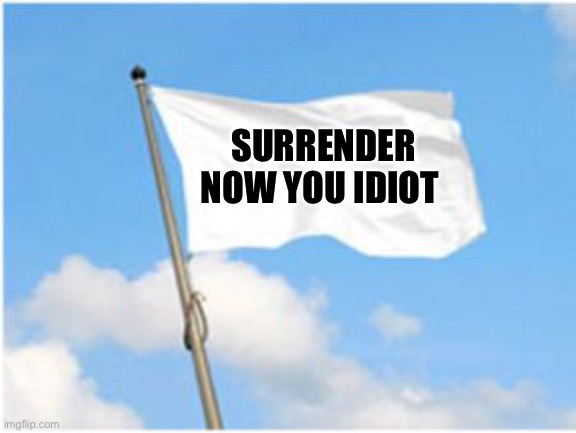 White flag | SURRENDER NOW YOU IDIOT | image tagged in white flag | made w/ Imgflip meme maker