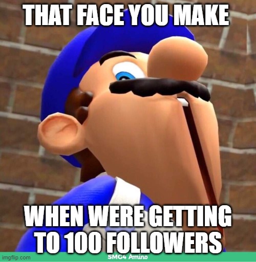 smg4's face | THAT FACE YOU MAKE; WHEN WERE GETTING TO 100 FOLLOWERS | image tagged in smg4's face | made w/ Imgflip meme maker