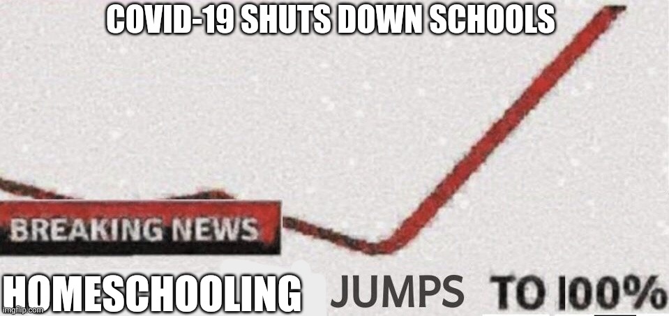 Suicide rate 100% | COVID-19 SHUTS DOWN SCHOOLS; HOMESCHOOLING | image tagged in suicide rate 100 | made w/ Imgflip meme maker