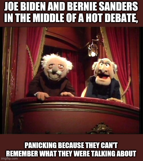 Statler and Waldorf |  JOE BIDEN AND BERNIE SANDERS IN THE MIDDLE OF A HOT DEBATE, PANICKING BECAUSE THEY CAN'T REMEMBER WHAT THEY WERE TALKING ABOUT | image tagged in statler and waldorf | made w/ Imgflip meme maker