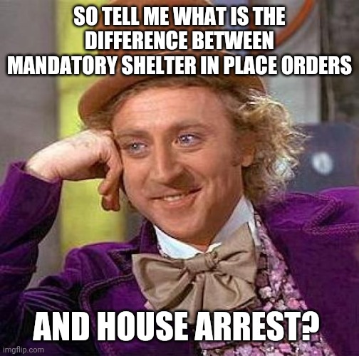 Creepy Condescending Wonka | SO TELL ME WHAT IS THE DIFFERENCE BETWEEN MANDATORY SHELTER IN PLACE ORDERS; AND HOUSE ARREST? | image tagged in memes,creepy condescending wonka | made w/ Imgflip meme maker