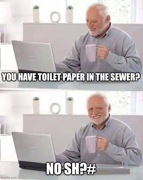 Hide the Pain Harold Meme | YOU HAVE TOILET PAPER IN THE SEWER? NO SH?# | image tagged in memes,hide the pain harold | made w/ Imgflip meme maker