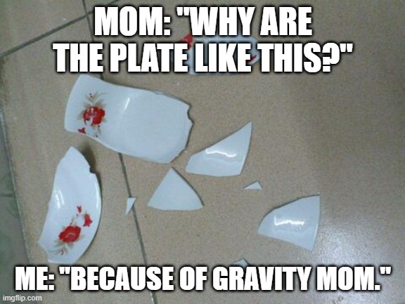 The Scientific Meme | MOM: "WHY ARE THE PLATE LIKE THIS?"; ME: "BECAUSE OF GRAVITY MOM." | image tagged in science,gravity | made w/ Imgflip meme maker