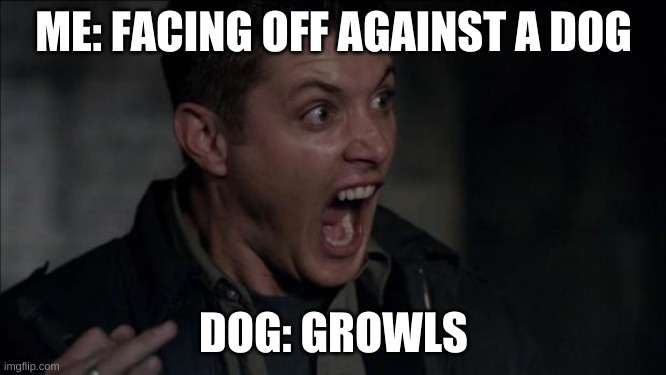 Dean Winchester  | ME: FACING OFF AGAINST A DOG; DOG: GROWLS | image tagged in dean winchester | made w/ Imgflip meme maker