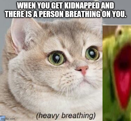 Heavy Breathing Cat Meme Imgflip