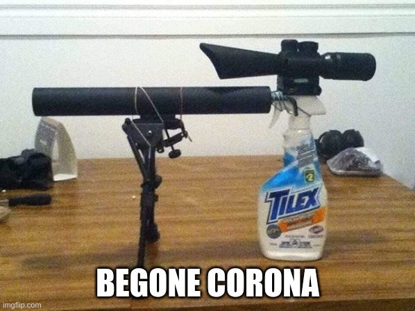 no corona in my house | BEGONE CORONA | image tagged in coronavirus | made w/ Imgflip meme maker