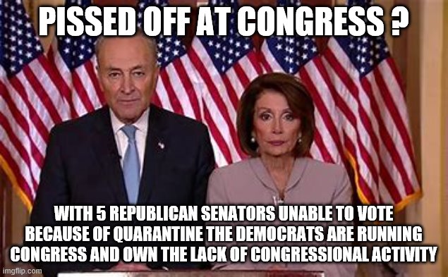 yep | PISSED OFF AT CONGRESS ? WITH 5 REPUBLICAN SENATORS UNABLE TO VOTE BECAUSE OF QUARANTINE THE DEMOCRATS ARE RUNNING CONGRESS AND OWN THE LACK OF CONGRESSIONAL ACTIVITY | image tagged in democrats,coronavirus,chuck schumer,nancy pelosi | made w/ Imgflip meme maker