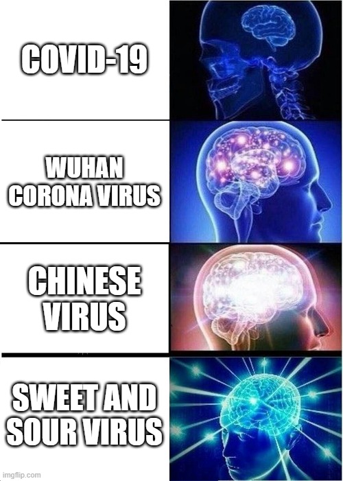 Expanding Brain | COVID-19; WUHAN CORONA VIRUS; CHINESE VIRUS; SWEET AND SOUR VIRUS | image tagged in memes,expanding brain | made w/ Imgflip meme maker
