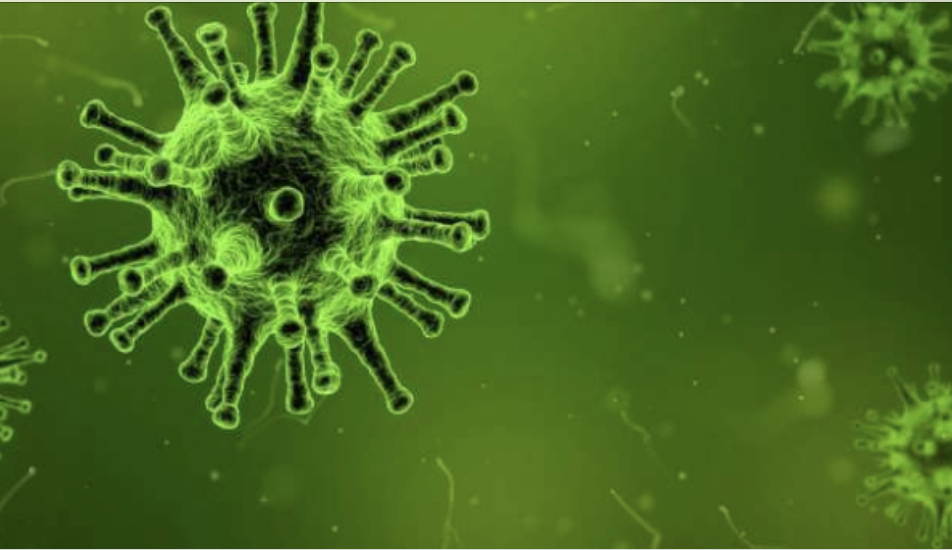 Covid Blank Meme Template