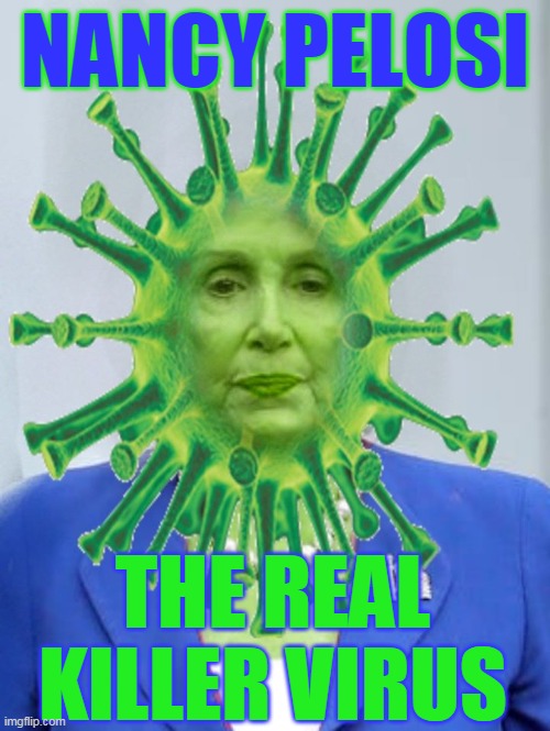 NANCY PELOSI; THE REAL KILLER VIRUS | made w/ Imgflip meme maker